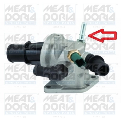 Thermostat, coolant